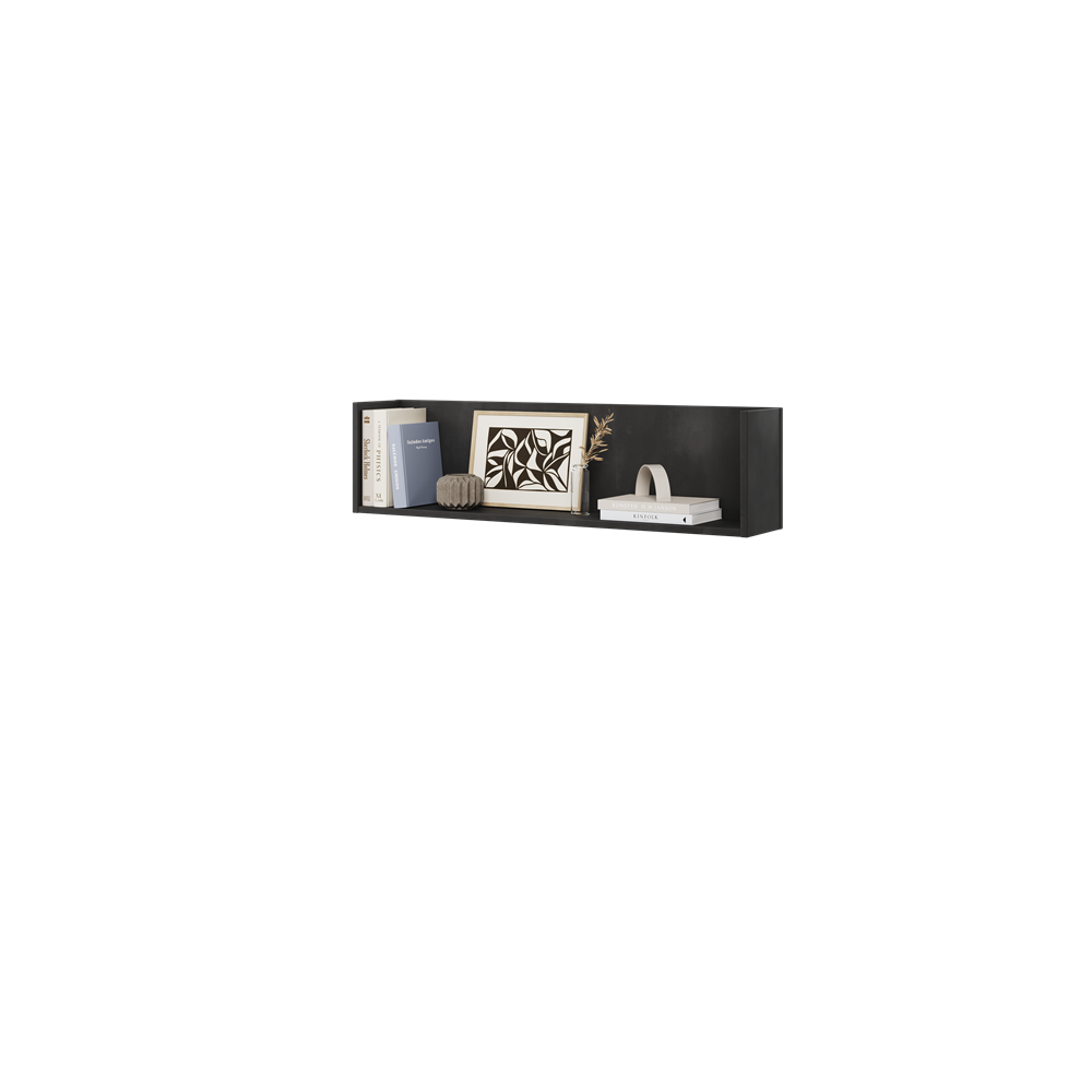 TF13RS_02